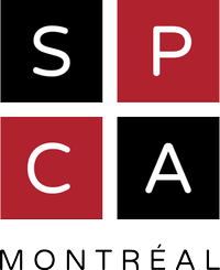 Fondation SPCA Montréal