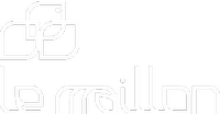 Le Maillon "Regroupement De Parents Et Amis De La Personne Atteinte De Maladie Mentale Du Saguenay"