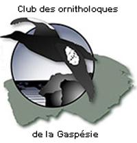 Club Des Ornithologues De La Gaspesie