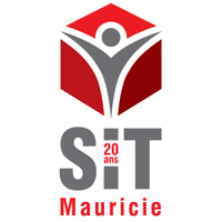 S.I.T. (Service D'Integration Au Travail)