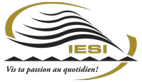 Institut D'Enseignement De Sept-Iles Inc