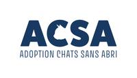 Adoption Chats Sans Abri