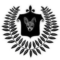 Sophie'S Dog Adoption